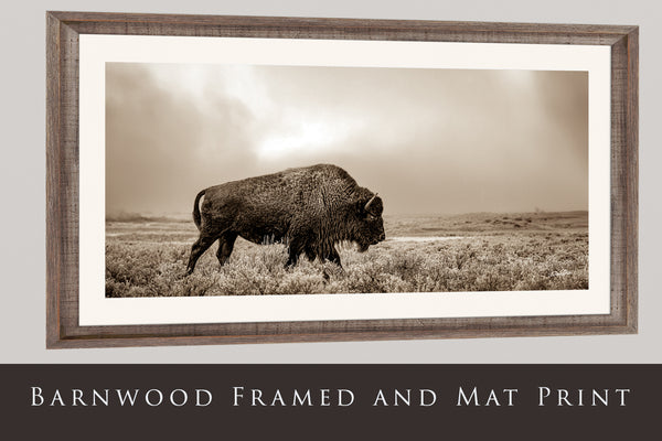 AMERICAN BUFFALO PANORAMIC IN SEPIA 2:1 No. 4148