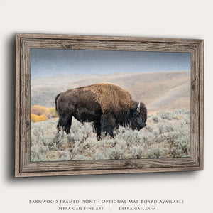 American Bison Yellowstone Wall Art | Landscape Decor