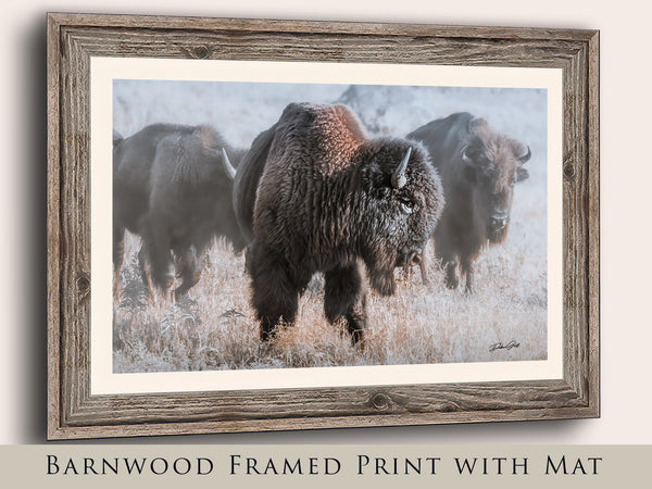 Bison in the Snow - Rustic Art Canvas Print No. 7745