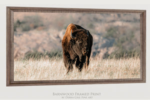 American Buffalo | Wide Panoramic Wall Art Canvas