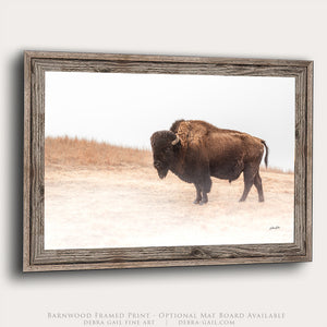 Foggy Bison Wall Art – Rustic Western Wildlife Print