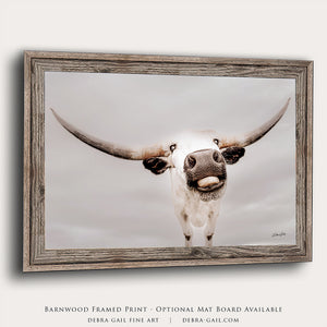 Texas Longhorn wall art – Western ranch photography print by Debra Gail Fine Art