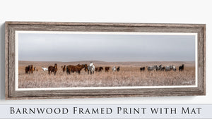 Wild Horse Wall Art | Prairie Landscape Panoramic Canvas