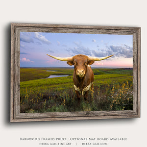 Texas Longhorn wall art – Western ranch photography print by Debra Gail Fine Art