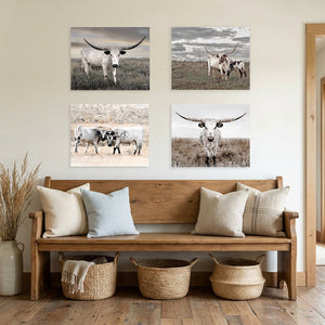 Neutral Texas Longhorn Wall Art — Set of 4