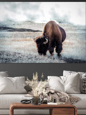 Bison wall art – neutral rustic prairie photography print by Debra Gail Fine Art