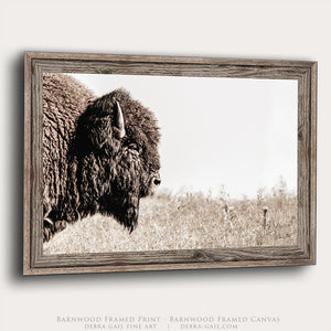 Neutral Bison Wall Art - Rustic Western Decor | Prairie Wildlife Canvas Print