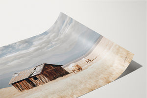 Buffalo fine art print – spiritual white bison Great Plains wildlife wall decor by Debra Gail Fine Art