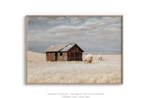 Buffalo fine art print – spiritual white bison Great Plains wildlife wall decor by Debra Gail Fine Art