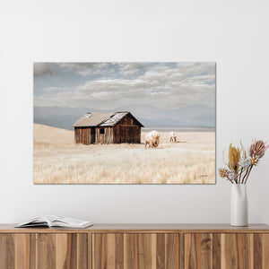 Buffalo fine art print – spiritual white bison Great Plains wildlife wall decor by Debra Gail Fine Art