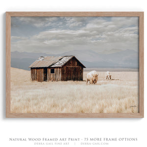 Buffalo fine art print – spiritual white bison Great Plains wildlife wall decor by Debra Gail Fine Art