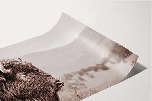 Bison wall art print - rustic buffalo photography on canvas by Debra Gail Fine Art