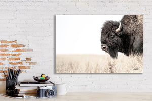 Bison wall art – rustic prairie photography print by Debra Gail Fine Art
