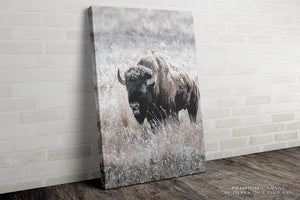 Vertical American Buffalo Canvas Wall Art | Iconic Bison Print