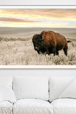 Buffalo wall art – Great Plains wildlife wall decor by Debra Gail Fine Art