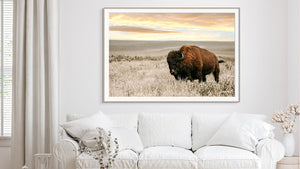 Buffalo wall art – Great Plains wildlife wall decor by Debra Gail Fine Art