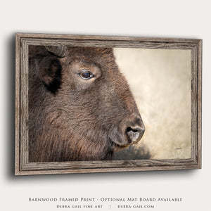 Bison wall art – rustic prairie photography print by Debra Gail Fine Art