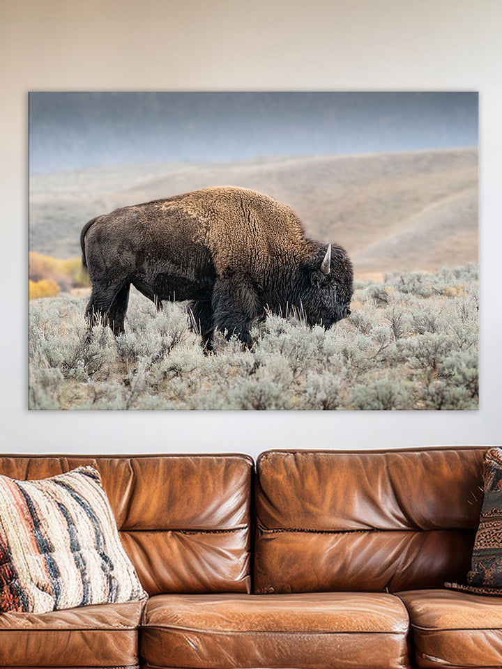 American Bison Wall Art | Buffalo & Western Prints – Debra Gail Fine Art