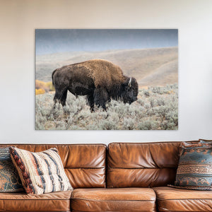 Bison wall art – rustic prairie photography print by Debra Gail Fine Art
