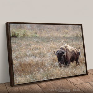 Bison Wall Art | Western & Rustic Warm Fine Art Buffalo Canvas and Prints