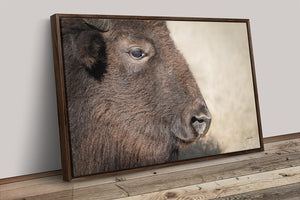 Bison wall art – rustic prairie photography print by Debra Gail Fine Art