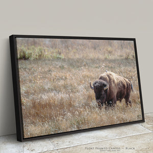 Bison Wall Art | Western & Rustic Warm Fine Art Buffalo Canvas and Prints