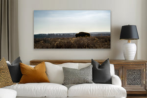 Bison wall art – wide panoramic rustic prairie photography print by Debra Gail Fine Art