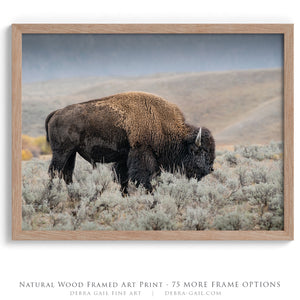 Bison Wall Art | American Bison Print - Yellowstone Landscape Farmhouse Decor