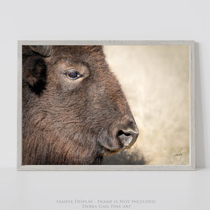 Bison wall art – rustic prairie photography print by Debra Gail Fine Art