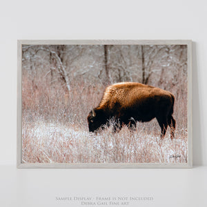 Buffalo Canvas Art | Bison Wall Art - Rustic Western Decor - Great Plains Buffalo