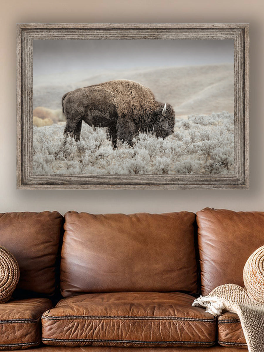 American Bison Wall Art | Buffalo & Western Prints – Debra Gail Fine Art