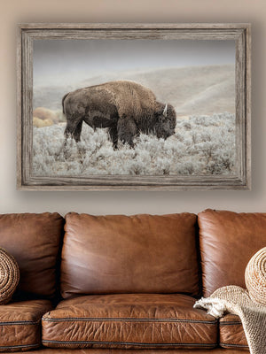 Bison wall art print - rustic buffalo photography on canvas by Debra Gail Fine Art