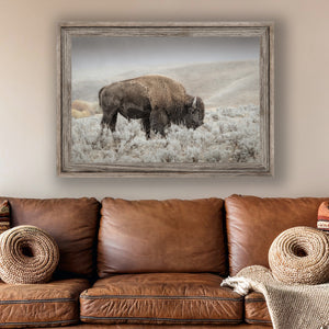 Bison wall art print - rustic buffalo photography on canvas by Debra Gail Fine Art