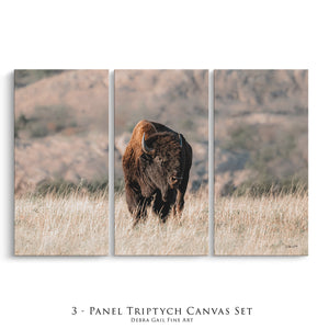 American Buffalo Triptych Wall Art | 3-Panel Canvas