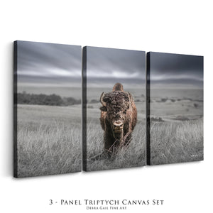 Bison Triptych Wall Art | Three-Panel Western Canvas Statement Set