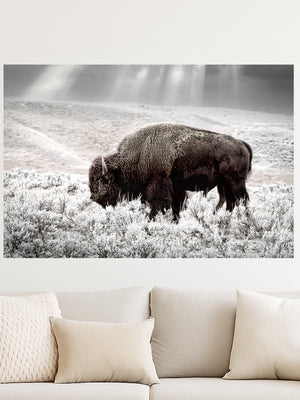 Buffalo wall art – Great Plains wildlife wall decor by Debra Gail Fine Art