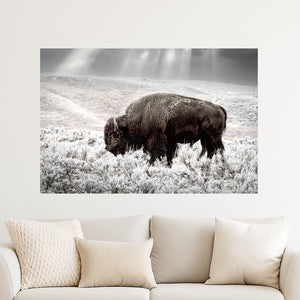 Buffalo wall art – Great Plains wildlife wall decor by Debra Gail Fine Art