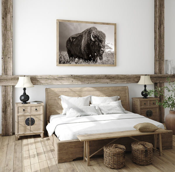 LARGE BISON WALL ART PRINT OR CANVAS BY DEBRA GAIL