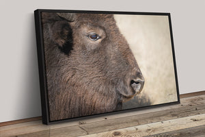 Bison wall art – rustic prairie photography print by Debra Gail Fine Art