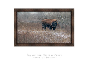 Buffalo fine art print – Great Plains wildlife wall decor by Debra Gail Fine Art