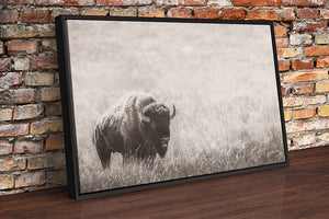 Minimalist Bison Canvas Art Print