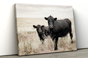 Black Angus cow calf wall art – fine art Western wildlife print by Debra Gail Fine Art