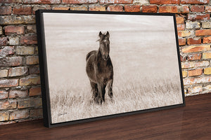 Wild Horse wall art – rustic Western fine art print by Debra Gail Fine Art