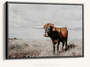 Longhorn cow wall decor canvas – rustic Western fine art print by Debra Gail Fine Art