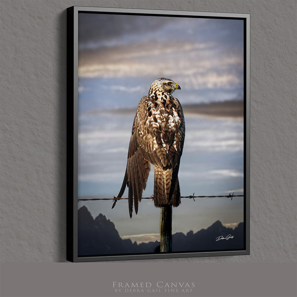 HAWK ON THE WIRE - WESTERN GOTHIC FINE ART PRINT