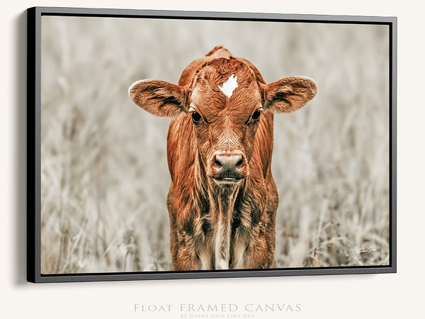 CUTE COW CANVAS PICTURE - NURSERY, KIDS, FARMHOUSE DECOR