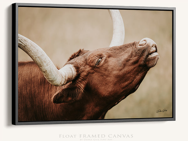 LONGHORN CLOSEUP COW PRINT - CANVAS FARMHOUSE DECOR