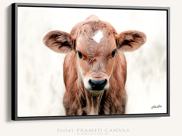 CUTE COW CALF CANVAS PICTURE - FARMHOUSE DECOR