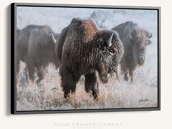 Bison in the Snow - Rustic Art Canvas Print No. 7745