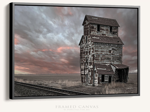 Rural Landscape Framed Canvas